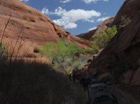 Coyote Gulch April 4-7-2013 082.JPG