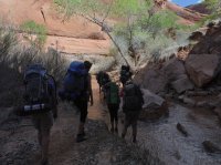 Coyote Gulch April 4-7-2013 085.JPG