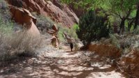 Coyote Gulch April 4-7-2013 090.JPG