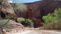 Coyote Gulch April 4-7-2013 105.JPG