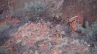 Coyote Gulch April 4-7-2013 107.JPG