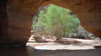 Coyote Gulch April 4-7-2013 117.JPG