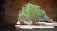 Coyote Gulch April 4-7-2013 118.JPG