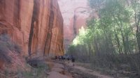 Coyote Gulch April 4-7-2013 155.JPG