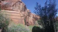 Coyote Gulch April 4-7-2013 157.JPG