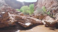 Coyote Gulch April 4-7-2013 172.JPG