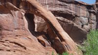 Coyote Gulch April 4-7-2013 177.JPG