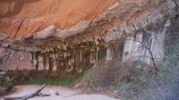 Coyote Gulch April 4-7-2013 179.JPG