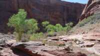 Coyote Gulch April 4-7-2013 194.JPG