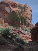 Coyote Gulch April 4-7-2013 200.JPG