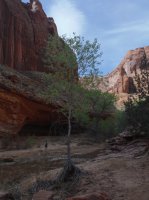 Coyote Gulch April 4-7-2013 201.JPG