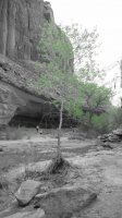 Coyote Gulch April 4-7-2013 202.JPG