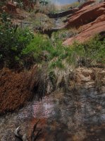 Coyote Gulch April 4-7-2013 213.JPG