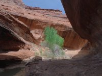 Coyote Gulch April 4-7-2013 218.JPG