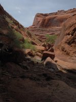 Coyote Gulch April 4-7-2013 219.JPG