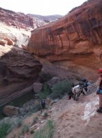 Coyote Gulch April 4-7-2013 245.JPG