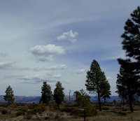 01-P4060005.JPG 01-P4060005.JPG