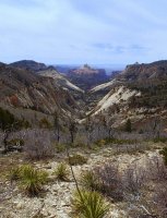 02-P4060008.JPG 02-P4060008.JPG