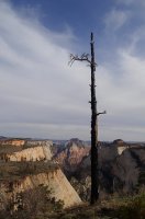 07-P4060060.JPG 07-P4060060.JPG