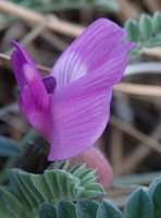 09-P4060068.JPG 09-P4060068.JPG