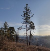 10-P4070083.JPG 10-P4070083.JPG