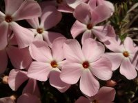 15-P4070141.JPG 15-P4070141.JPG