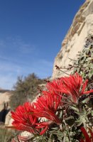 16-P4070158.JPG 16-P4070158.JPG