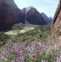 22-P4070237.JPG 22-P4070237.JPG