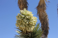 Screen Shot 2013-04-11 at 10.05.48 PM.png