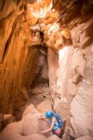 IMG_4153.jpg IMG_4153.jpg