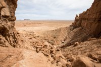 IMG_4155.jpg IMG_4155.jpg