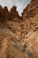 IMG_4160.jpg IMG_4160.jpg