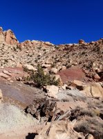 08-PB240190.JPG 08-PB240190.JPG