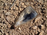 13-PB240207.JPG 13-PB240207.JPG