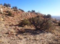 17-PB250260.JPG 17-PB250260.JPG