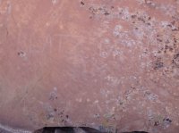 21-PB250290.JPG 21-PB250290.JPG