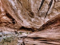 26-PB250329.JPG 26-PB250329.JPG