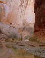 32-PB250356.JPG 32-PB250356.JPG