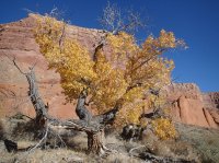 704555_10200173606527490_1912455535_o.jpg 704555_10200173606527490_1912455535_o.jpg