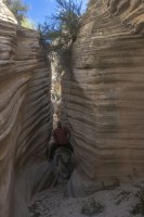 IMG_7215.jpg IMG_7215.jpg