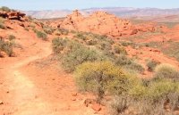 IMG_0405.jpg IMG_0405.jpg