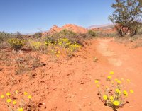 IMG_0411.jpg IMG_0411.jpg