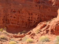 IMG_0414.jpg IMG_0414.jpg