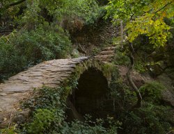 cinque trail ponte1.jpg