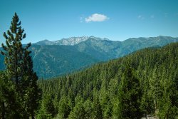 DSC04854.jpg DSC04854.jpg