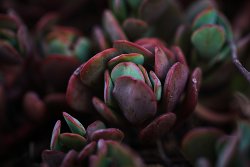 DSC05011.jpg DSC05011.jpg