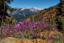 DSC05152.jpg DSC05152.jpg