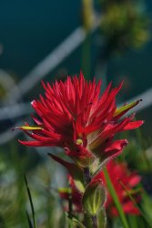 DSC05189.jpg DSC05189.jpg