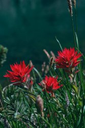 DSC05197.jpg DSC05197.jpg