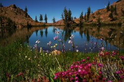 DSC05252.jpg DSC05252.jpg